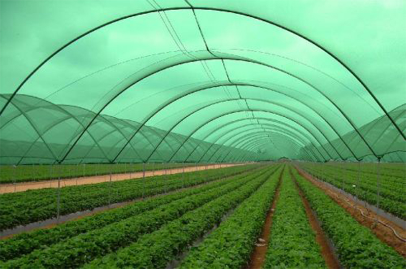 Agro Shade Nets