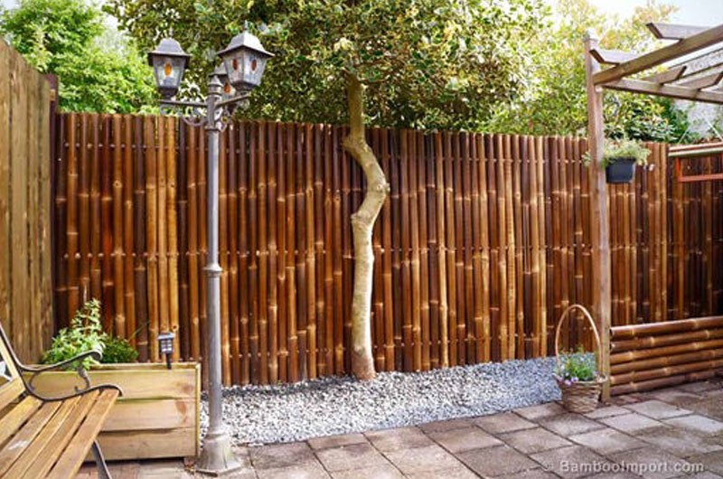 Bamboo Fencing